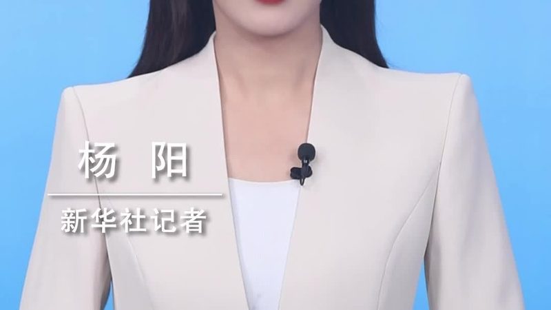数据中台性能优化：技术选型的关键考量